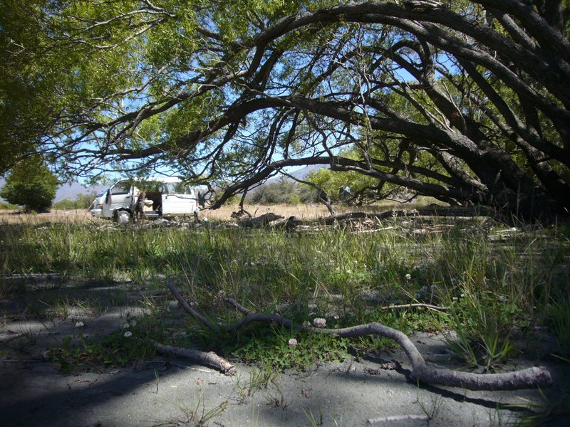Travel - New Zealand - Glendhu Bay